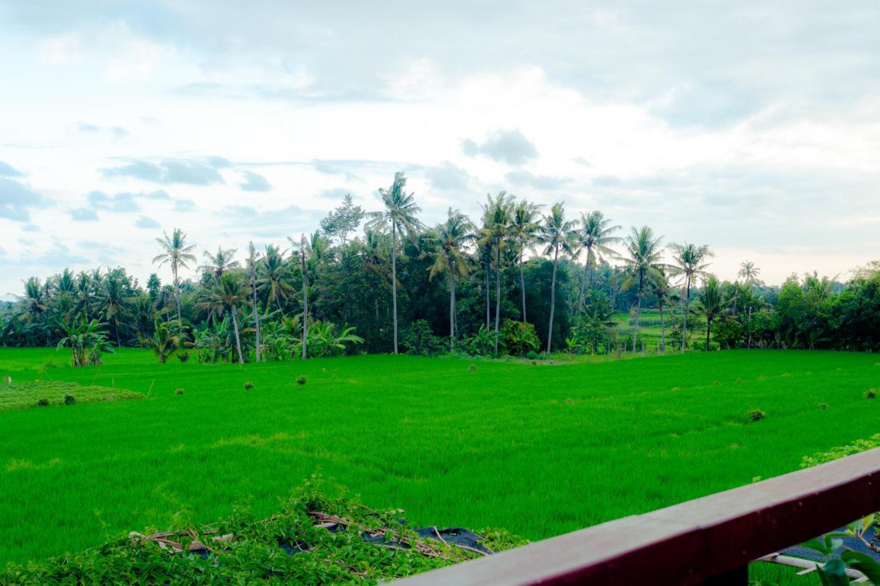 Nauna Villa Ubud ภายนอก รูปภาพ