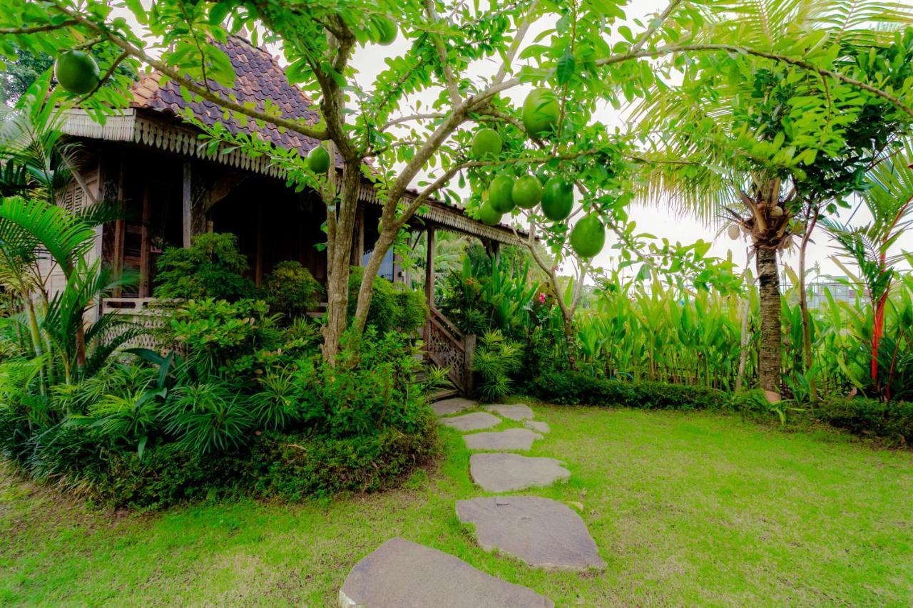 Nauna Villa Ubud ภายนอก รูปภาพ