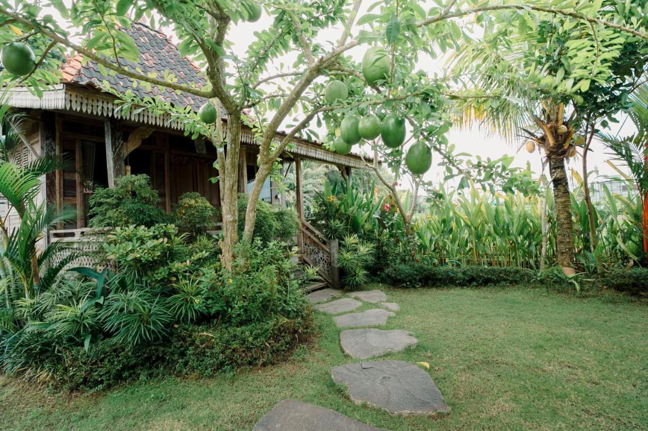 Nauna Villa Ubud ภายนอก รูปภาพ