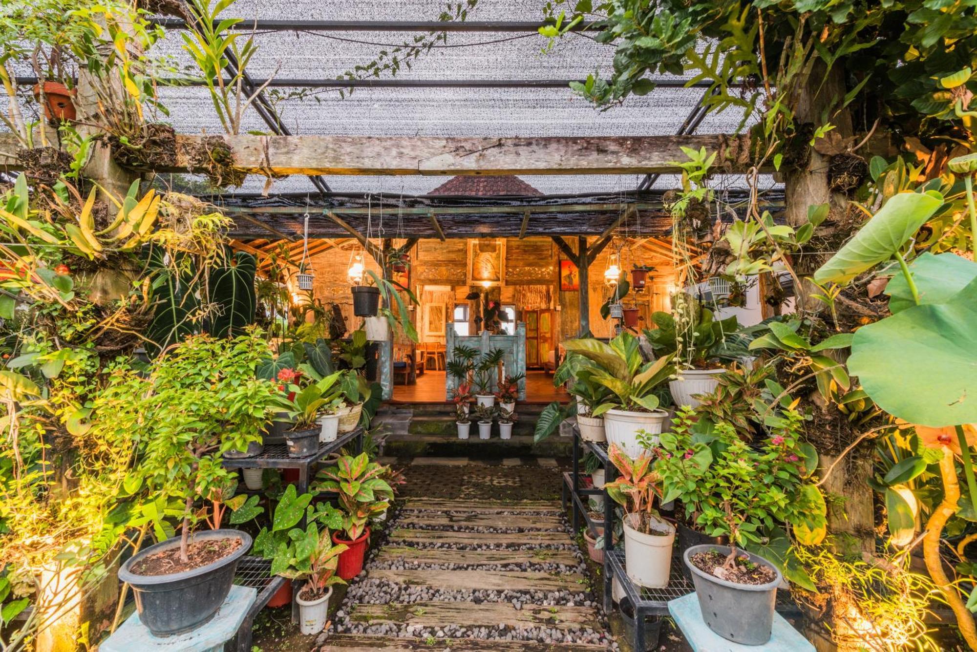 Nauna Villa Ubud ภายนอก รูปภาพ